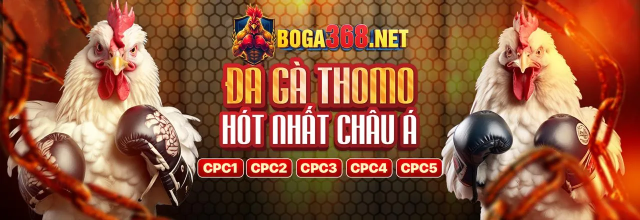 Chính sách bảo mật dữ liệu của Zowin